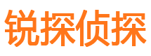 海晏市私家侦探